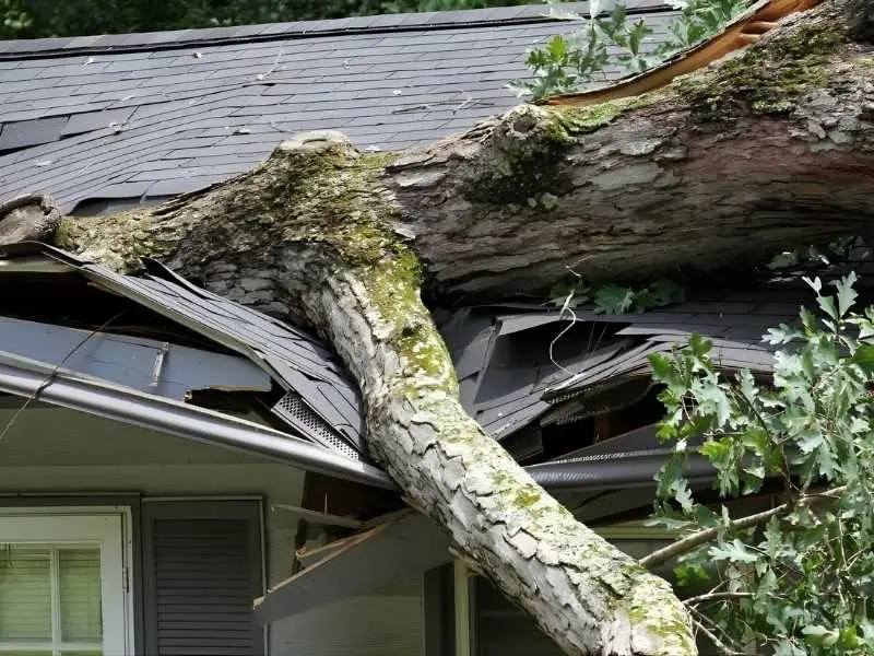 storm damage restoration