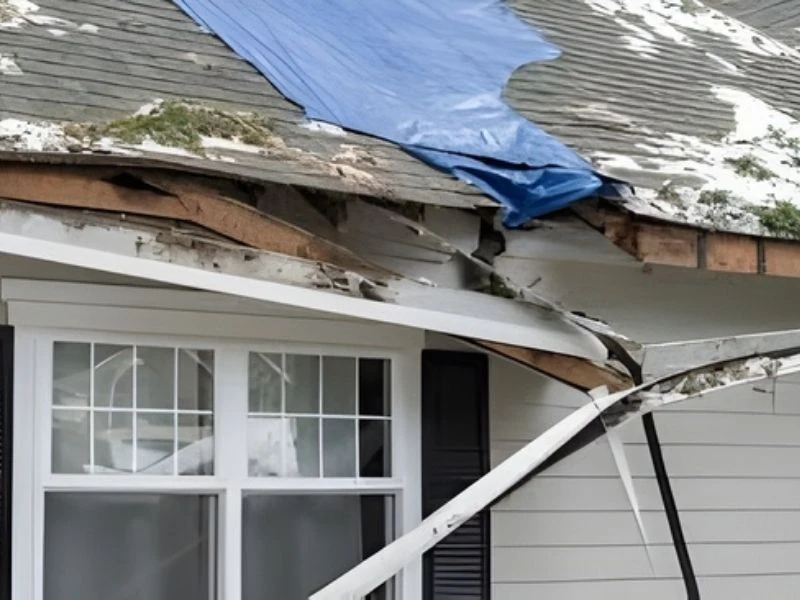 storm damage​