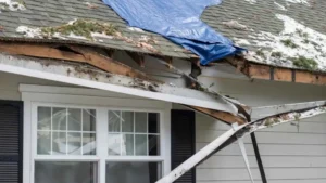 signs of storm damage​