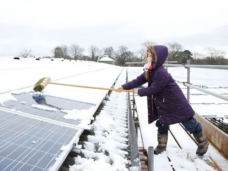 solar panel cleaning