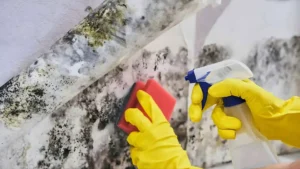 what does hail damage look like on a roof​