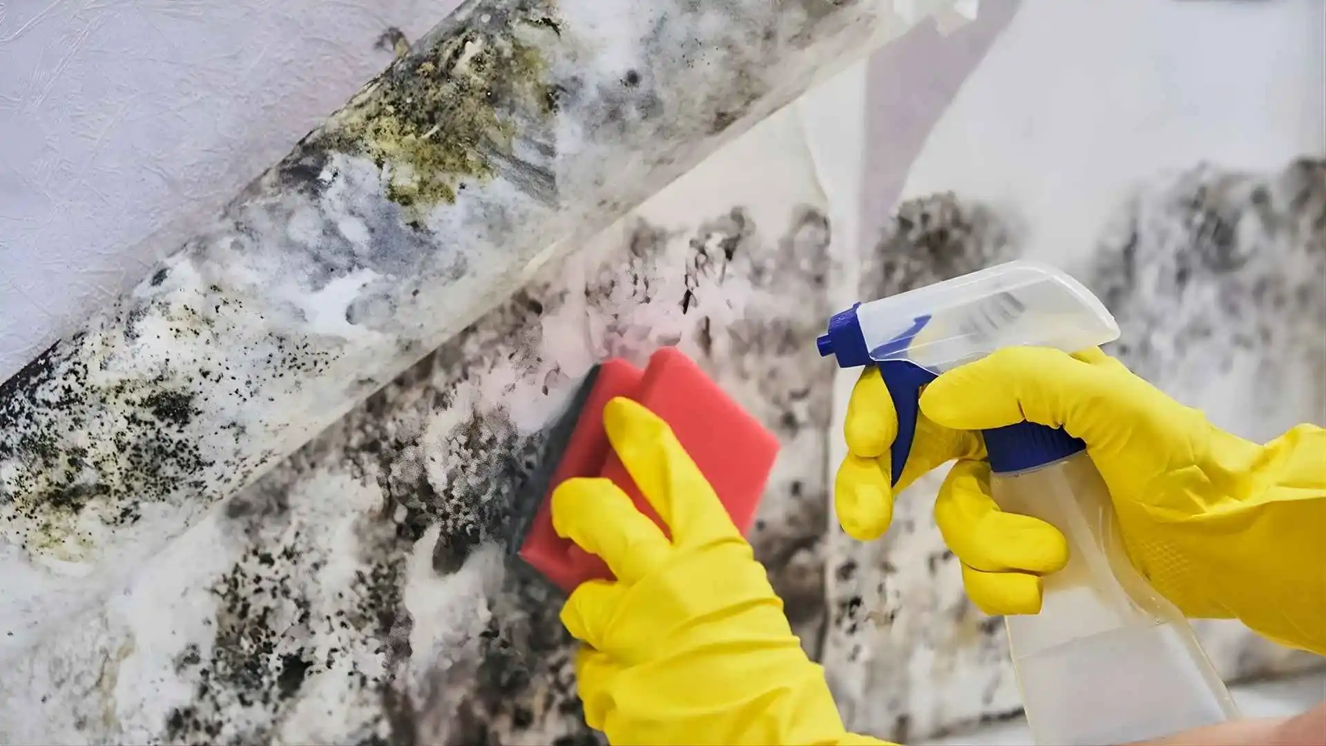 what does hail damage look like on a roof​
